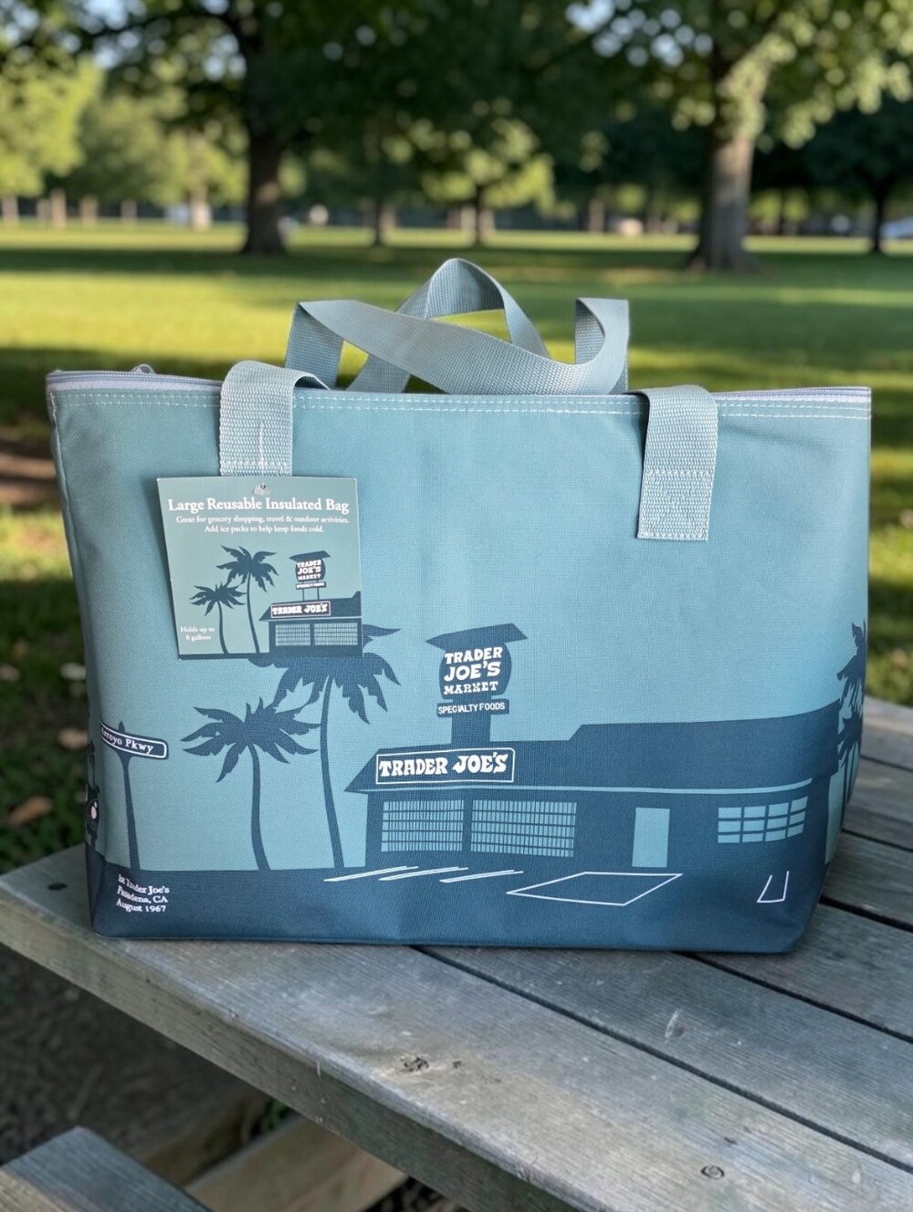TRADER JOE'S Dusty Blue Insulated Bag